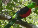 DSC01976.JPG