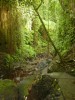 DSC02040.JPG